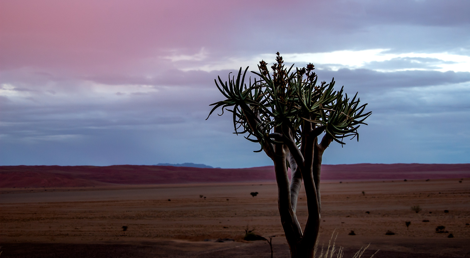 Namib-Naukluft Park