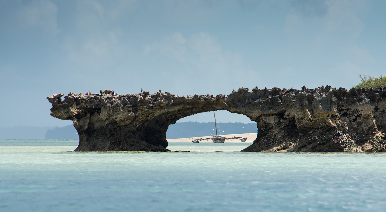 Dhow
