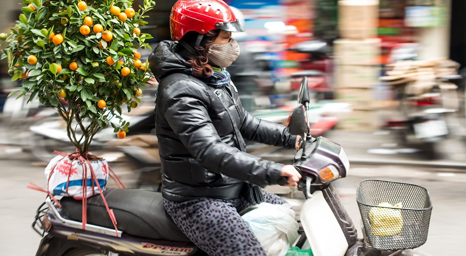 Ho Chi Minh City